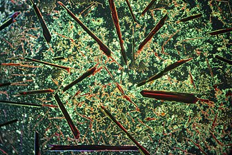 Potassium permanganate crystals darkfield - 04.jpg