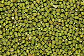 Green Mung Beans.jpg