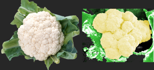 Cauliflower vs sintesis.png